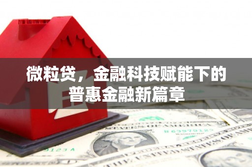 崂山微粒贷，金融科技赋能下的普惠金融新篇章