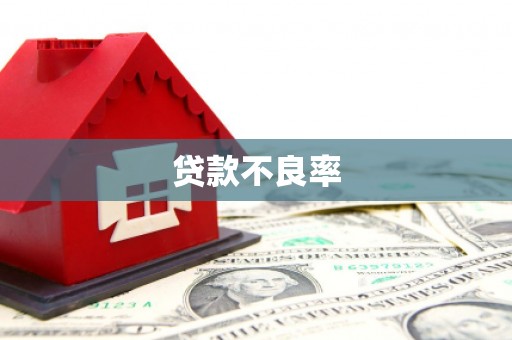 崂山贷款不良率