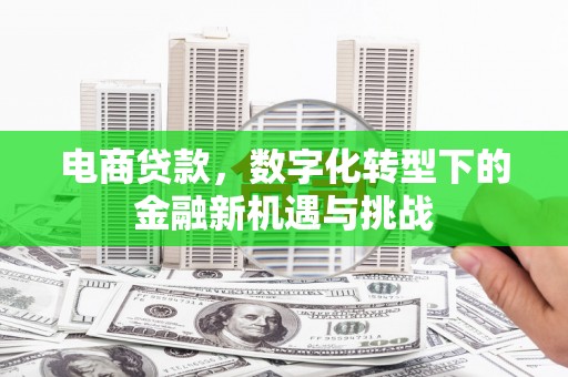 崂山电商贷款，数字化转型下的金融新机遇与挑战