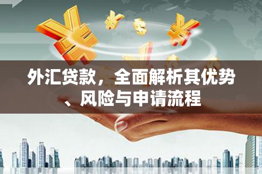 崂山外汇贷款，全面解析其优势、风险与申请流程