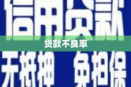 崂山贷款不良率