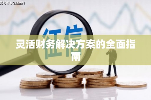 崂山灵活财务解决方案的全面指南