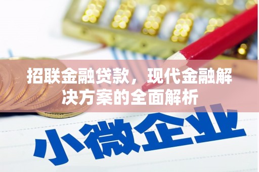 崂山招联金融贷款，现代金融解决方案的全面解析