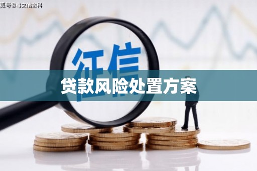 崂山贷款风险处置方案