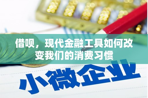 崂山借呗，现代金融工具如何改变我们的消费习惯