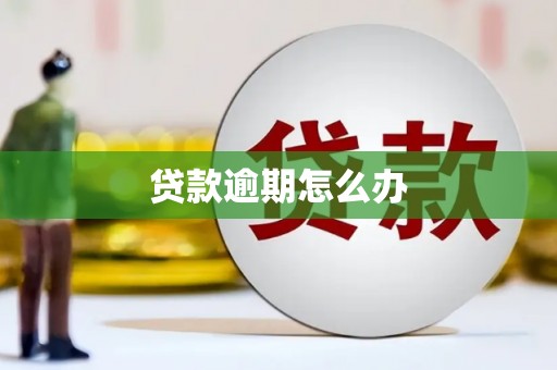 崂山贷款逾期怎么办