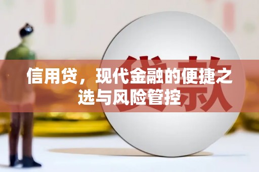 崂山信用贷，现代金融的便捷之选与风险管控
