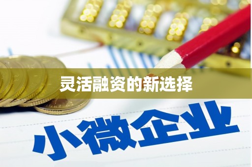 崂山灵活融资的新选择