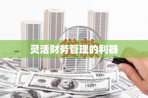 崂山灵活财务管理的利器