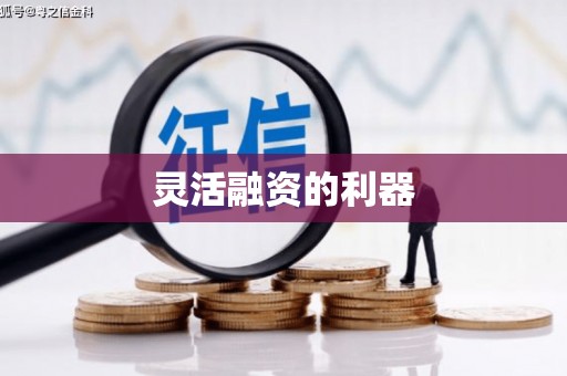 崂山灵活融资的利器