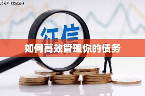 崂山如何高效管理你的债务