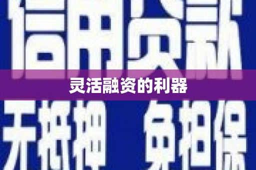 崂山灵活融资的利器