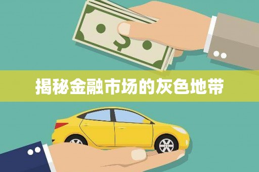 崂山揭秘金融市场的灰色地带