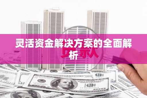 崂山灵活资金解决方案的全面解析