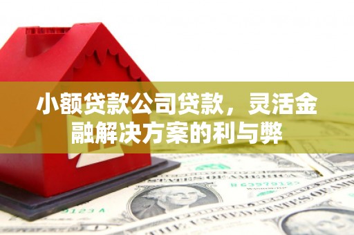 崂山小额贷款公司贷款，灵活金融解决方案的利与弊